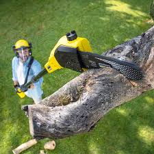 Best Organic Lawn Care Solutions  in Ocean Grove, MA